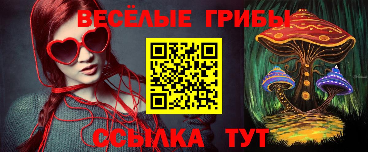 Псилоцибиновые грибы Cubensis Вятские Поляны