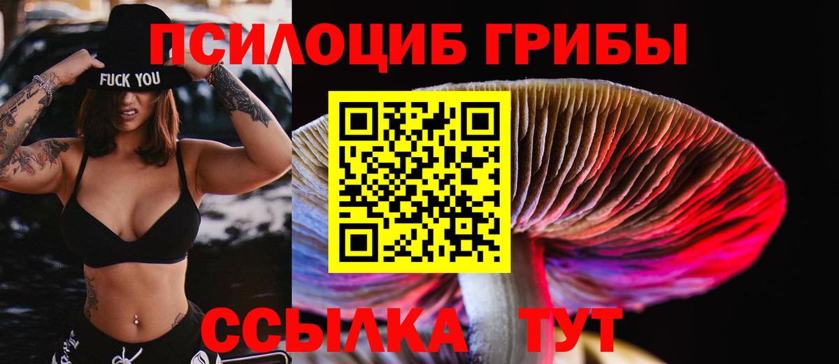 Вятские Поляны  как найти наркотики  Псилоцибиновые грибы ЛСД  Вход с VPN  Псилоцибиновые грибы мухоморы 